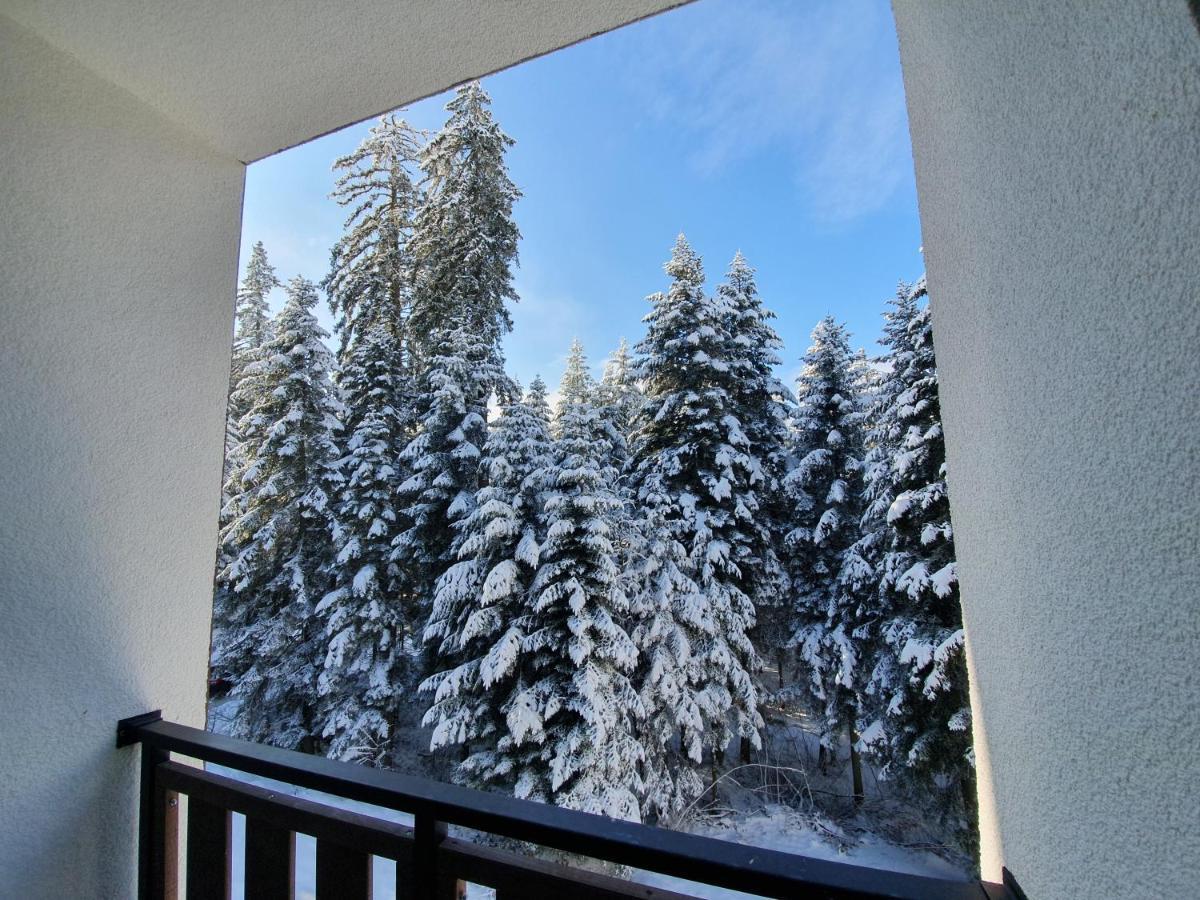 Pinewood Ang Luxurious Apartment A43, Borovets Gardens Εξωτερικό φωτογραφία
