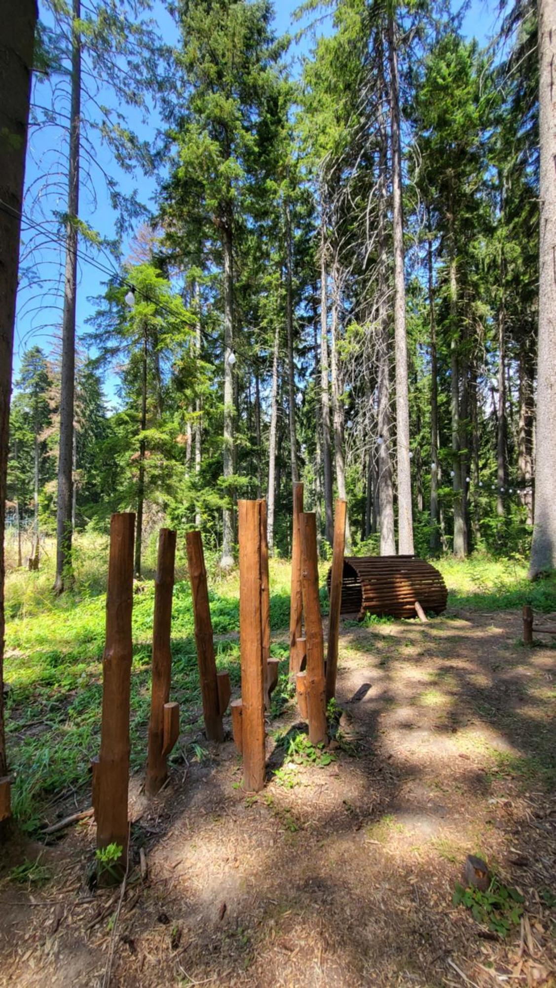 Pinewood Ang Luxurious Apartment A43, Borovets Gardens Εξωτερικό φωτογραφία
