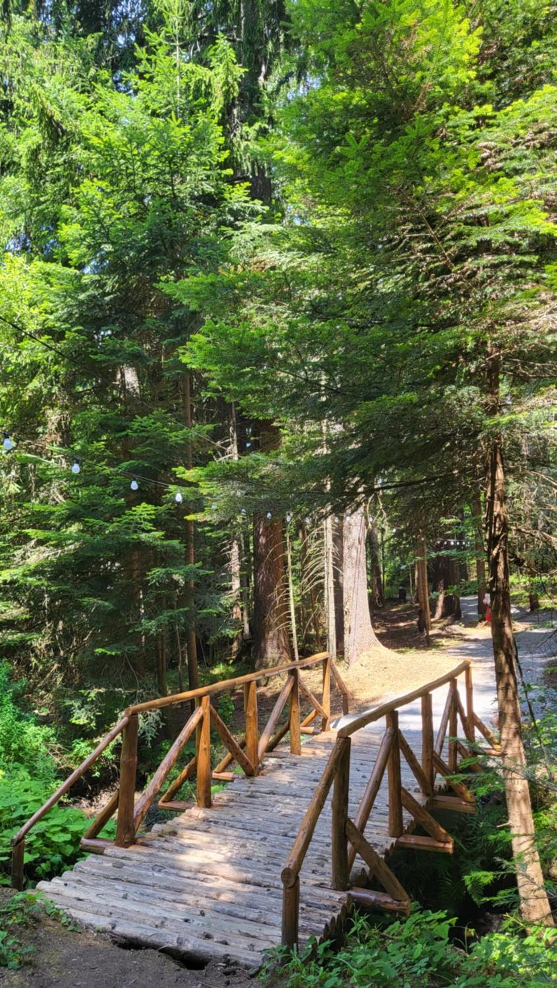 Pinewood Ang Luxurious Apartment A43, Borovets Gardens Εξωτερικό φωτογραφία