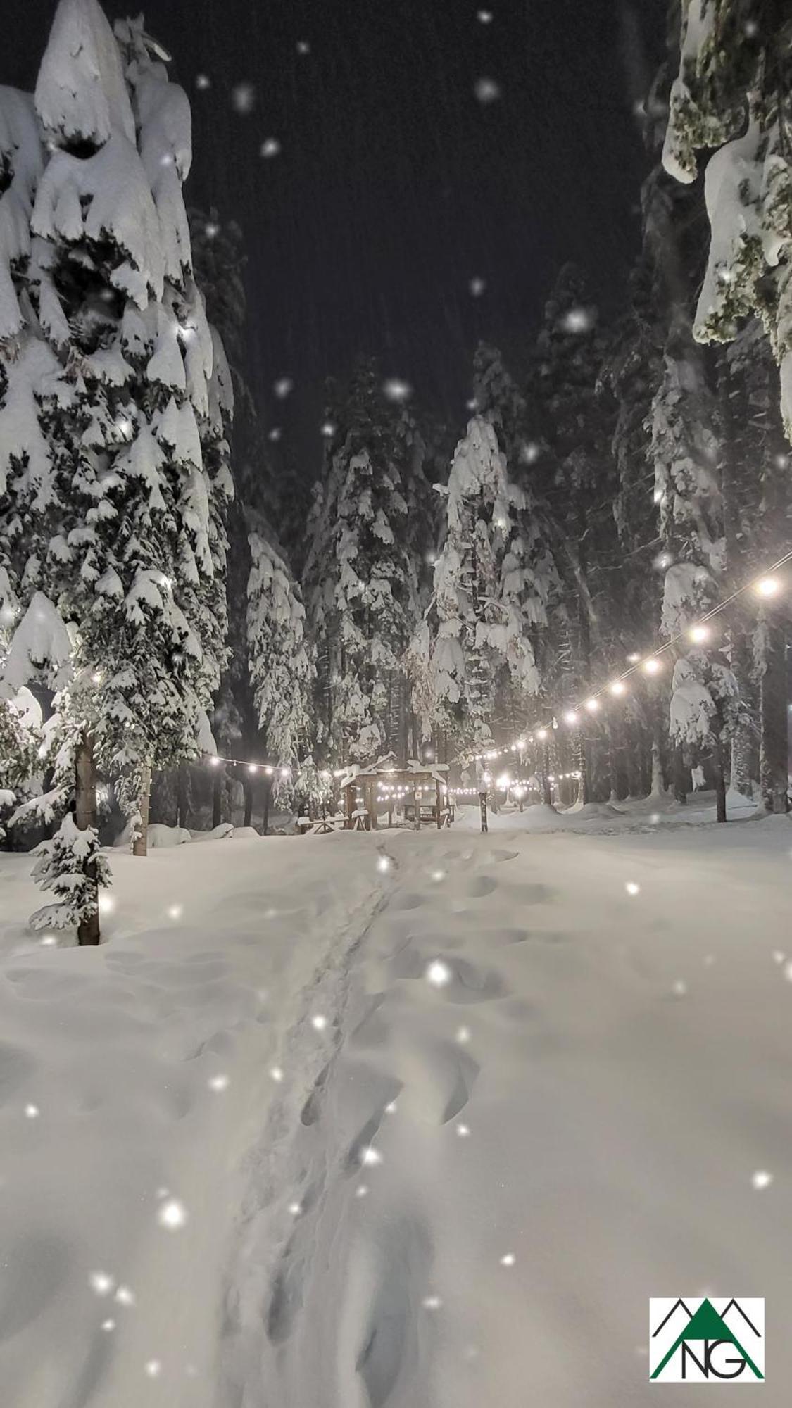 Pinewood Ang Luxurious Apartment A43, Borovets Gardens Εξωτερικό φωτογραφία